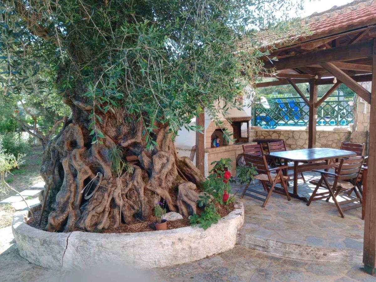 Pool Villa Grigoris Aspiotades Eksteriør billede